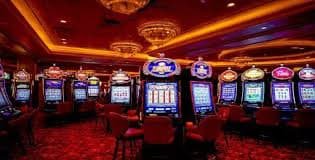 333bet app login apk