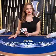 333bet app login apk